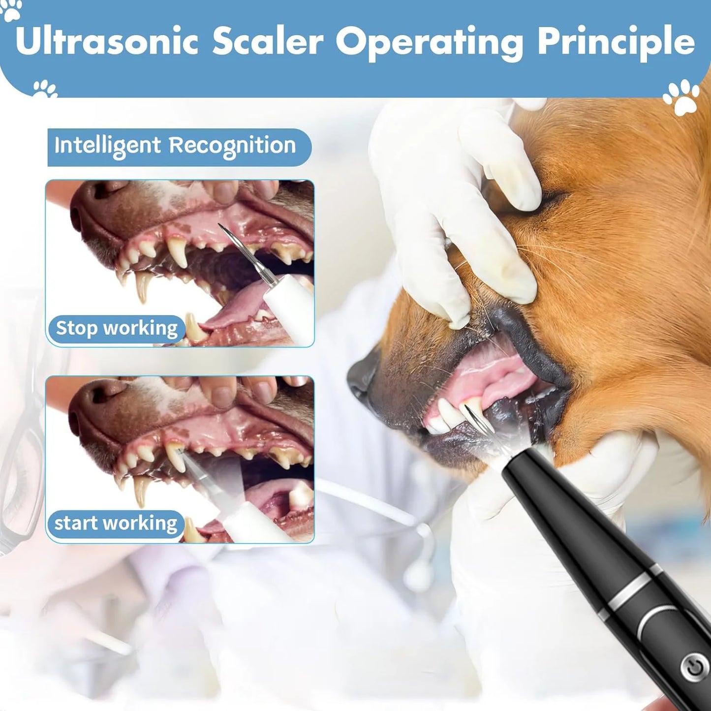 Ultrasonic Pet Tooth Cleaner