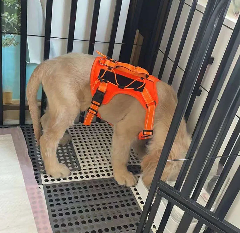 Reflective No Pull Dog Harness