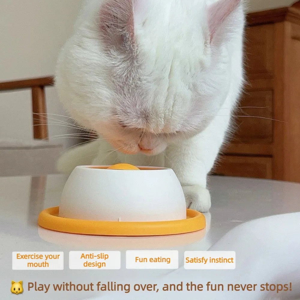 Interactive Pet Lick Mat