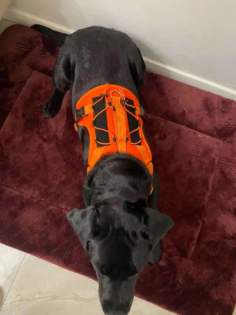 Reflective No Pull Dog Harness