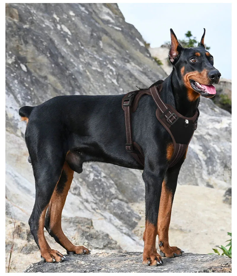 Reflective No Pull Dog Harness