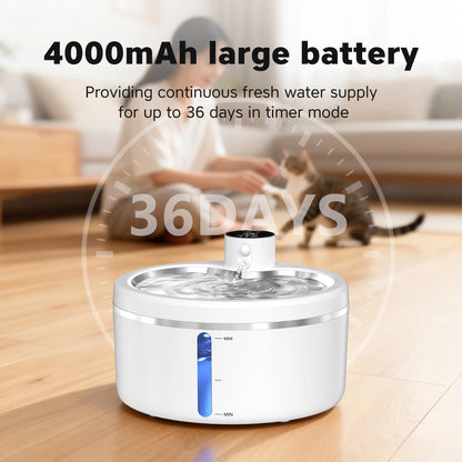 Automatic Pet Water Fountain