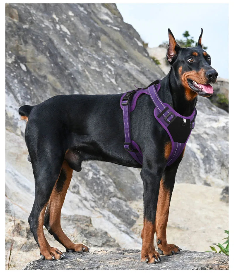 Reflective No Pull Dog Harness