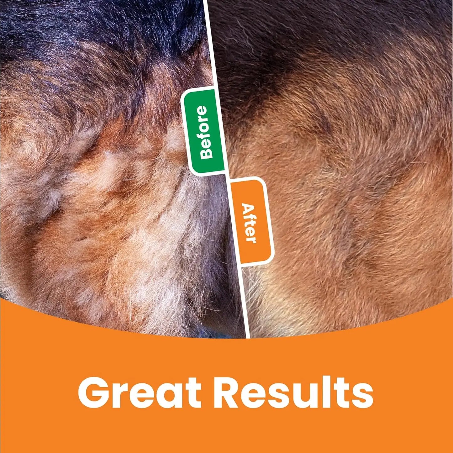 3 In 1 Deshedding Brush