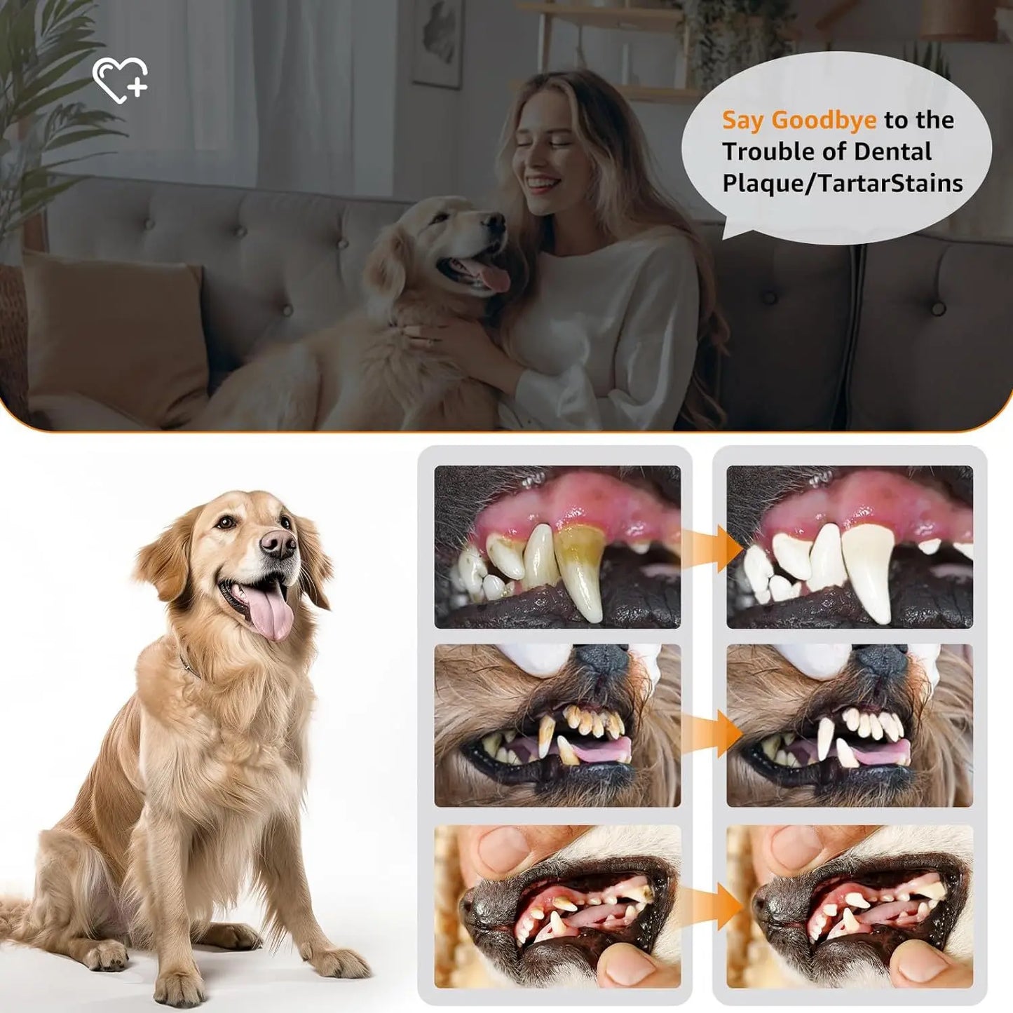 Ultrasonic Pet Tooth Cleaner