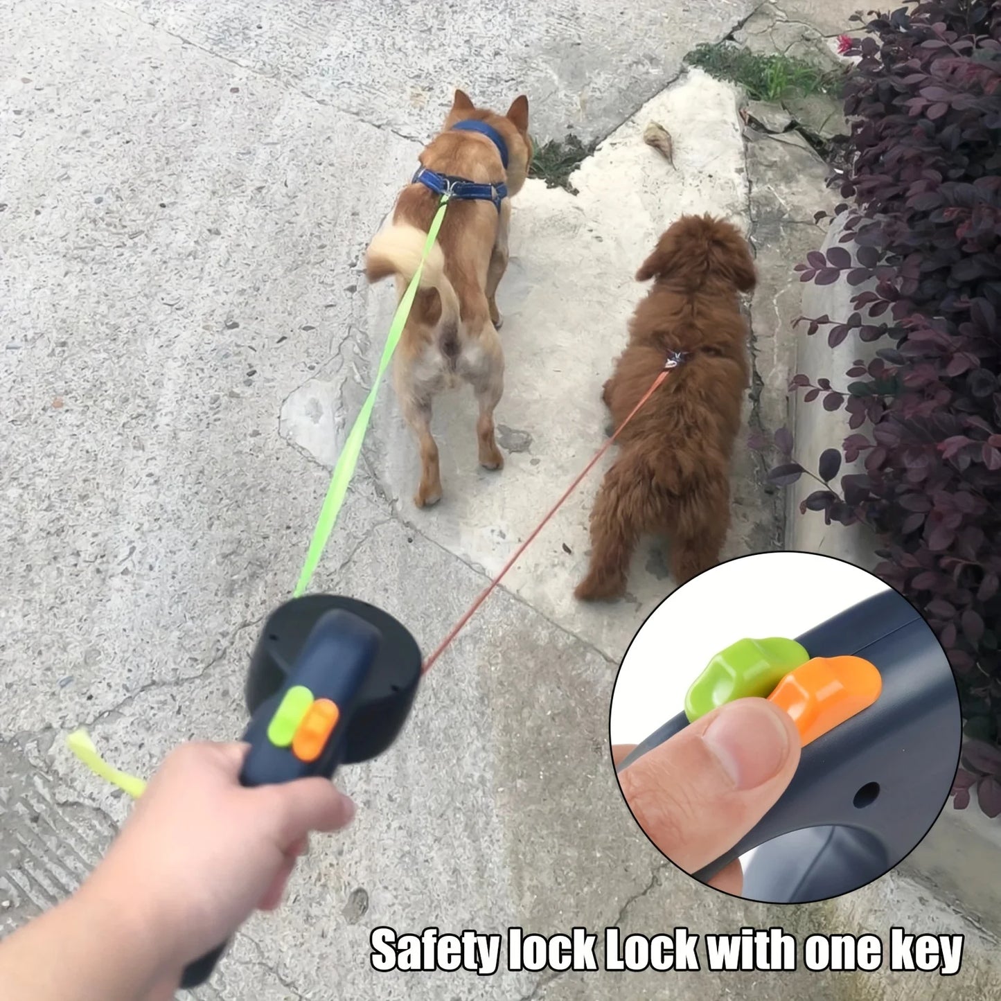 Dual Retractable Dog Leash