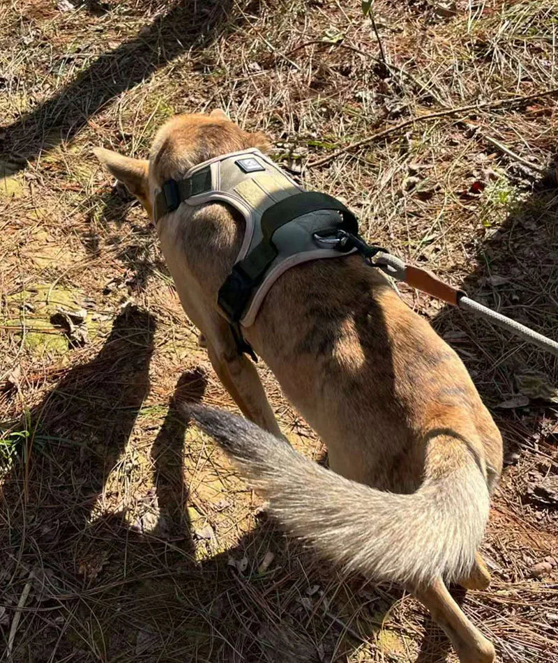 Reflective No Pull Dog Harness
