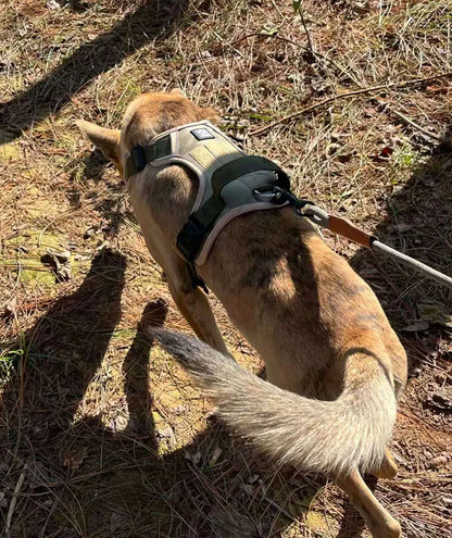Reflective No Pull Dog Harness